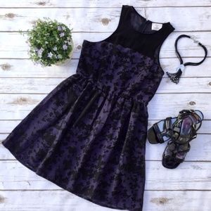 Pins And Needles Blue Black Sheer Insert Dress